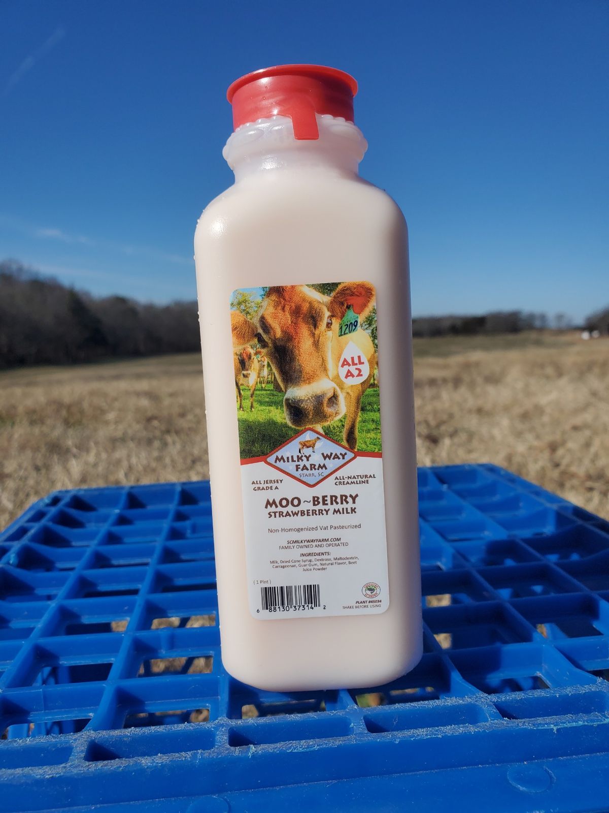 moo berry strawberry